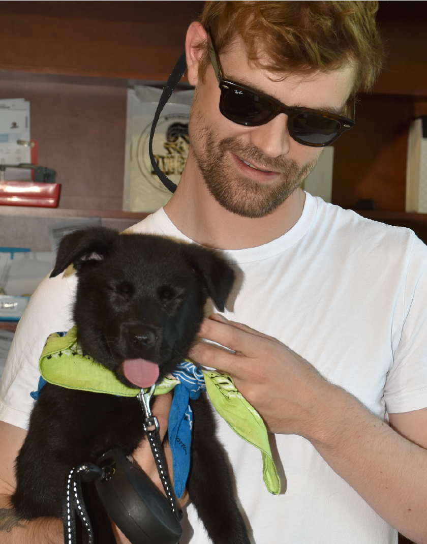 Pink Dental Laboratory